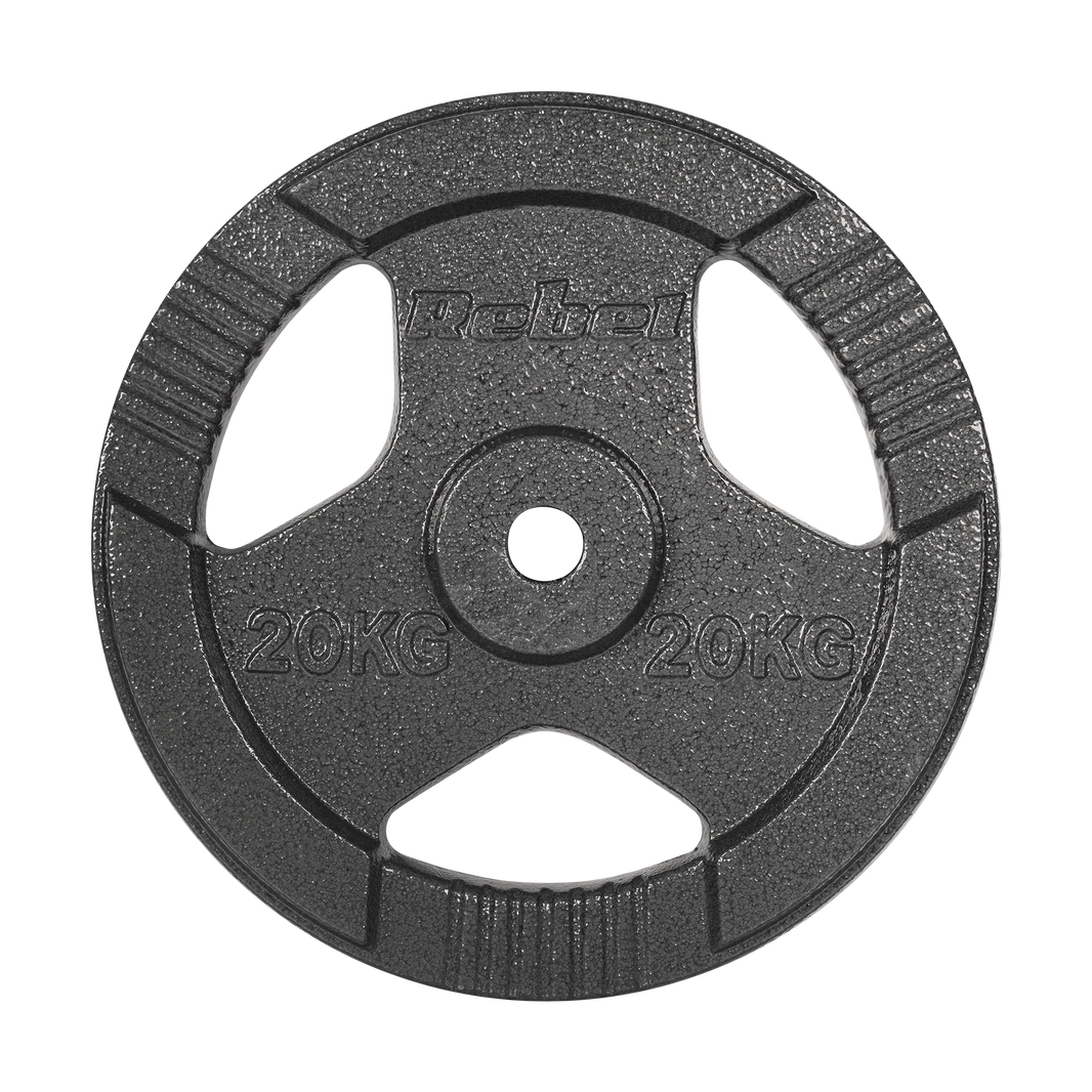 Vægtskiver 20kg med Håndtag 31 mm gym4all
