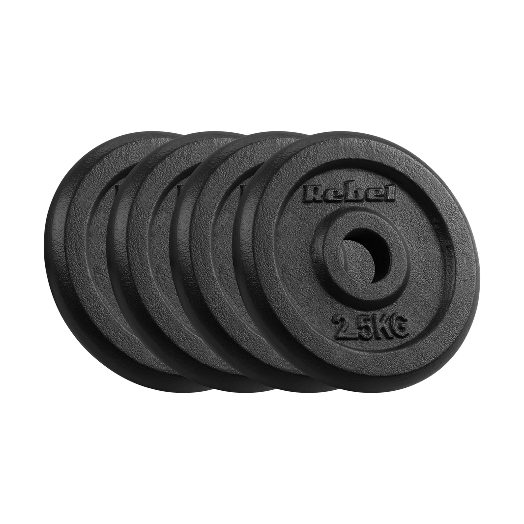 Vægtskiver 4x2,5kg 31mm gym4all