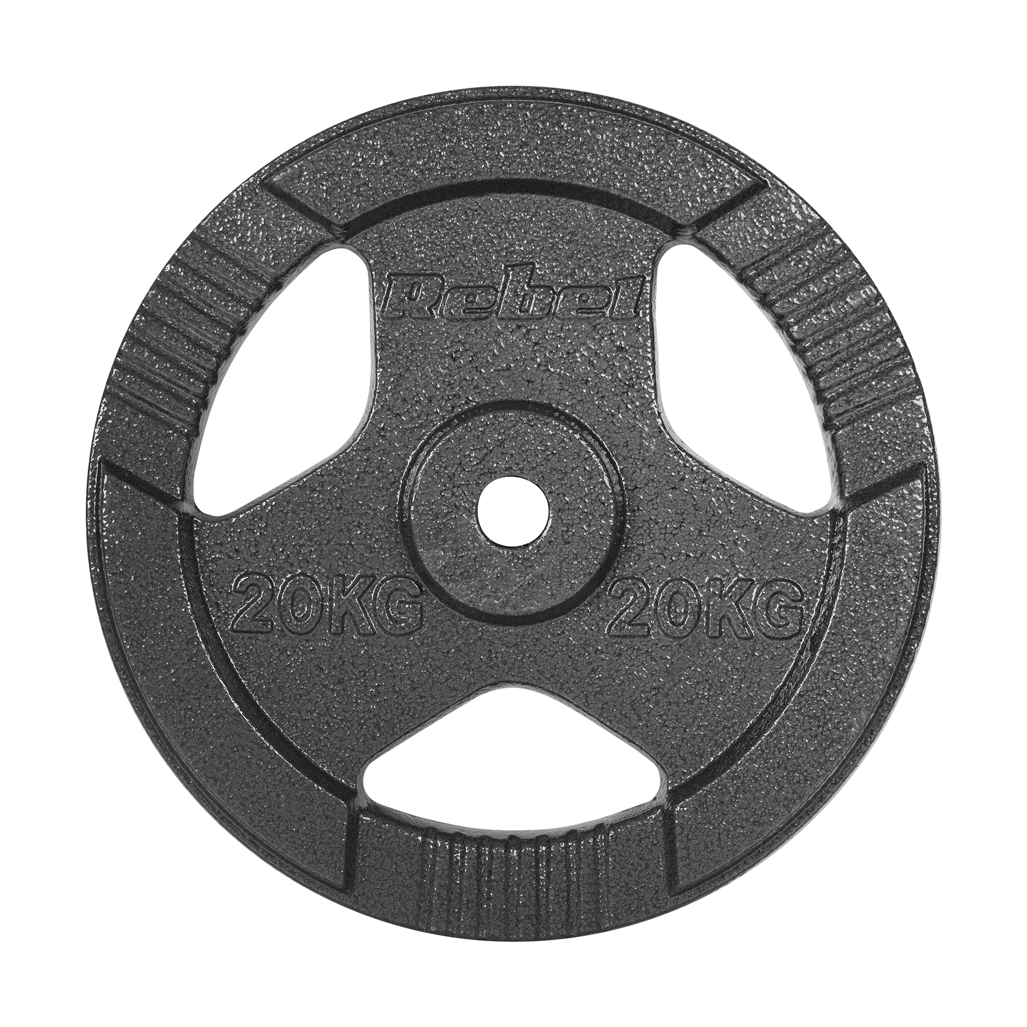 Vægtskiver 20kg med Håndtag 31 mm gym4all