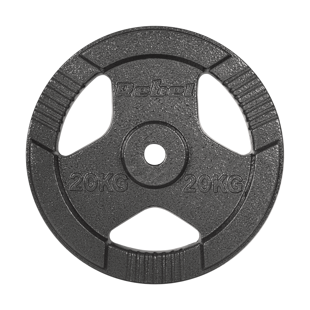 Vægtskiver 20kg med Håndtag 31 mm gym4all