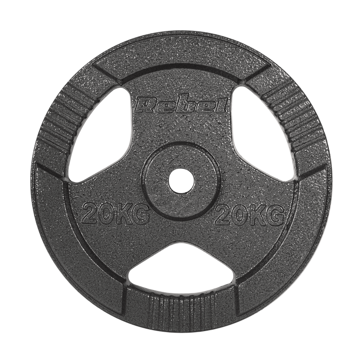 Vægtskiver 20kg med Håndtag 31 mm gym4all