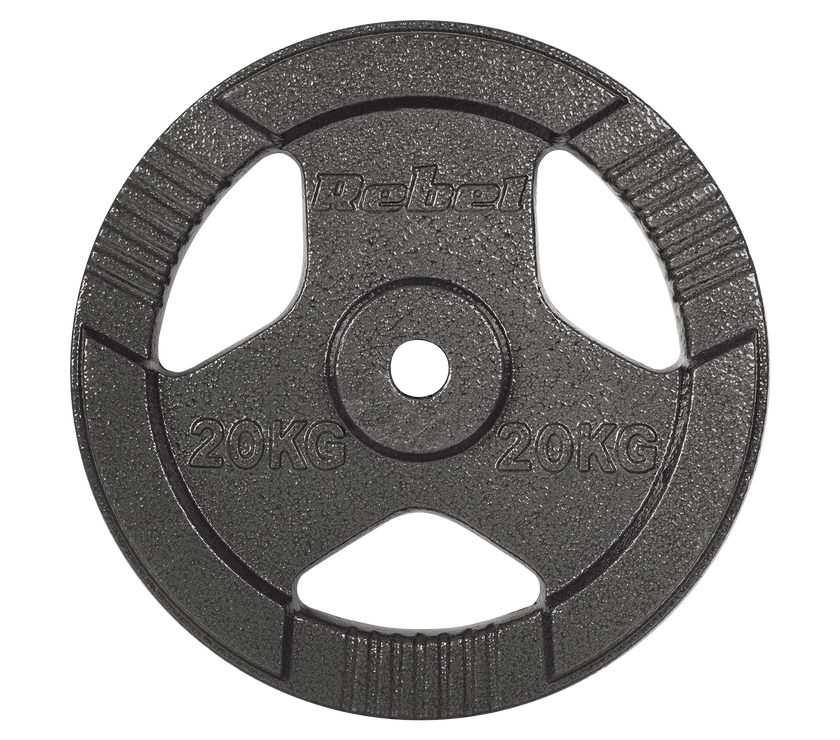 Vægtskiver 20kg med Håndtag 31 mm gym4all
