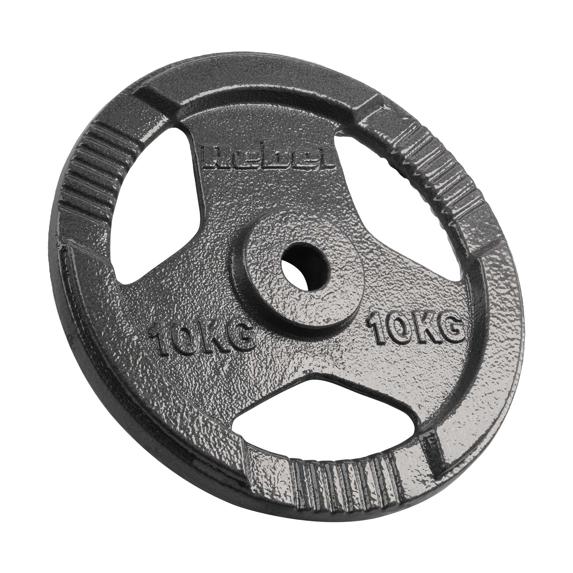 Vægtskiver 2x10kg med Håndtag 31 mm gym4all