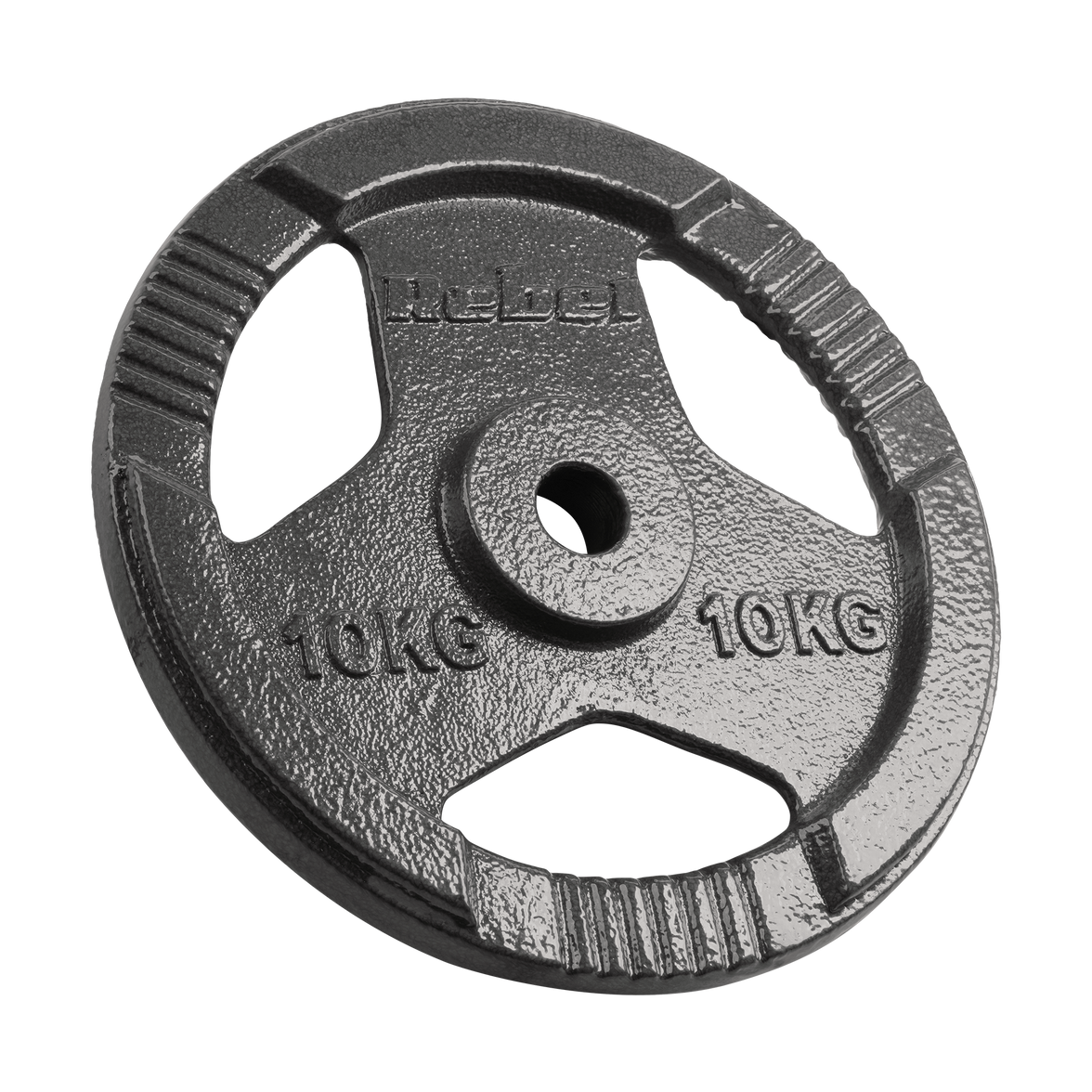 Vægtskiver 2x10kg med Håndtag 31 mm gym4all