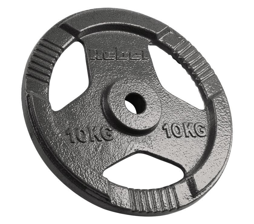 Vægtskiver 2x10kg med Håndtag 31 mm gym4all
