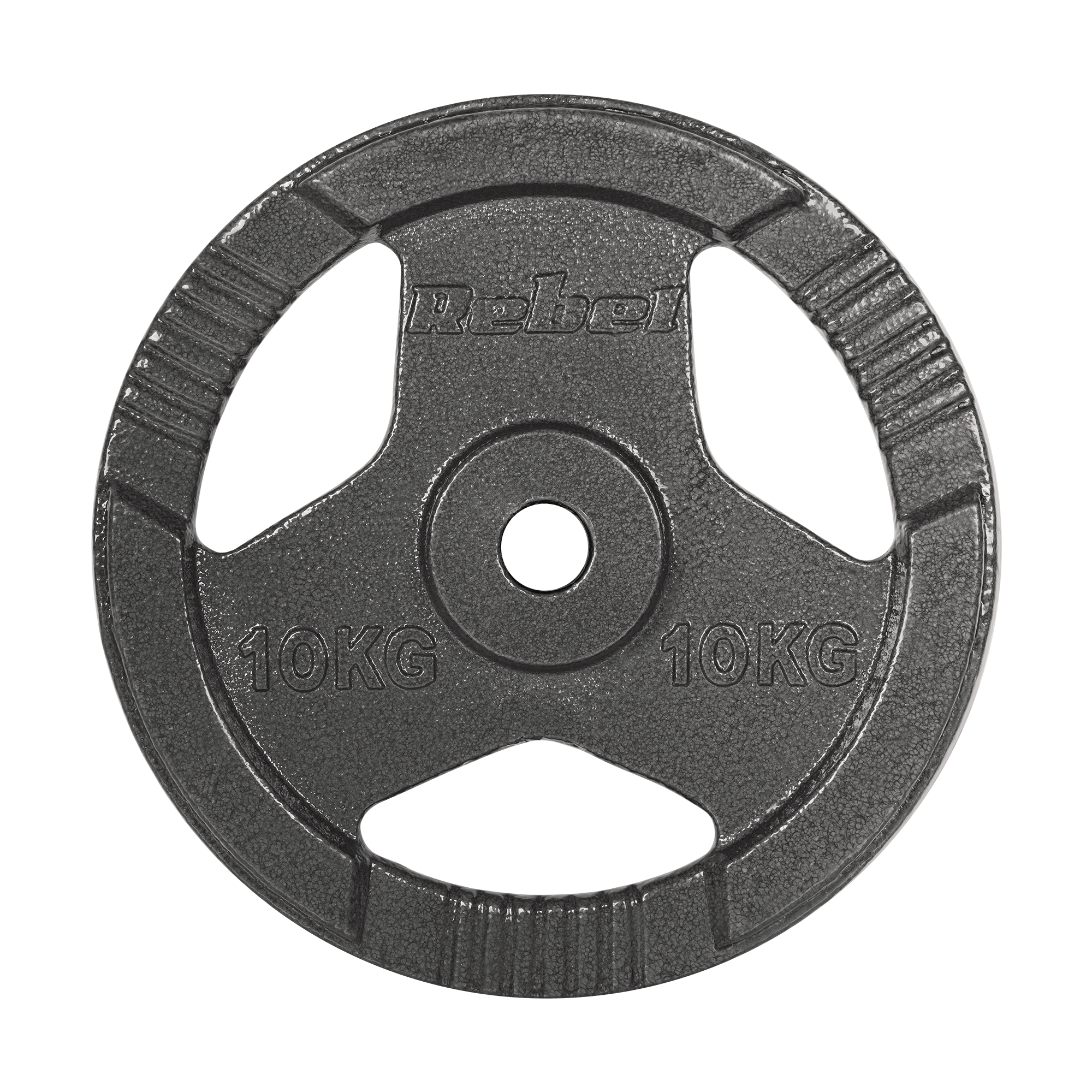 Vægtskiver 2x10kg med Håndtag 31 mm gym4all