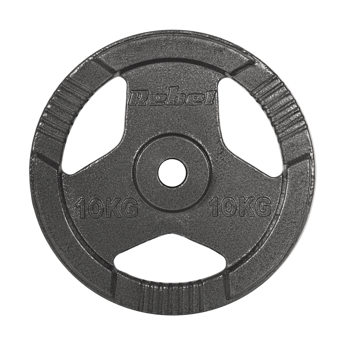 Vægtskiver 2x10kg med Håndtag 31 mm gym4all