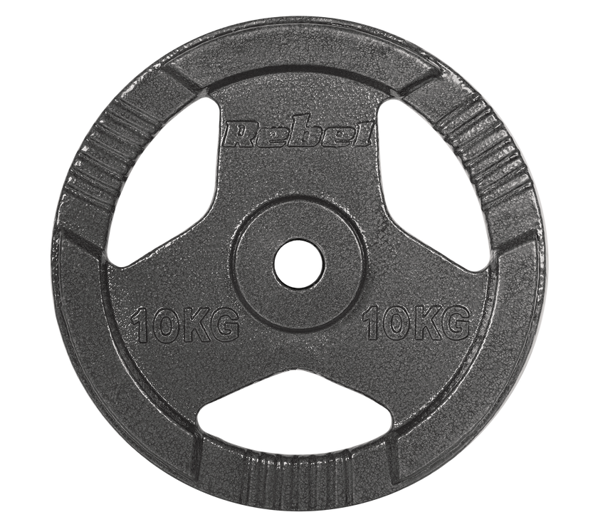 Vægtskiver 2x10kg med Håndtag 31 mm gym4all