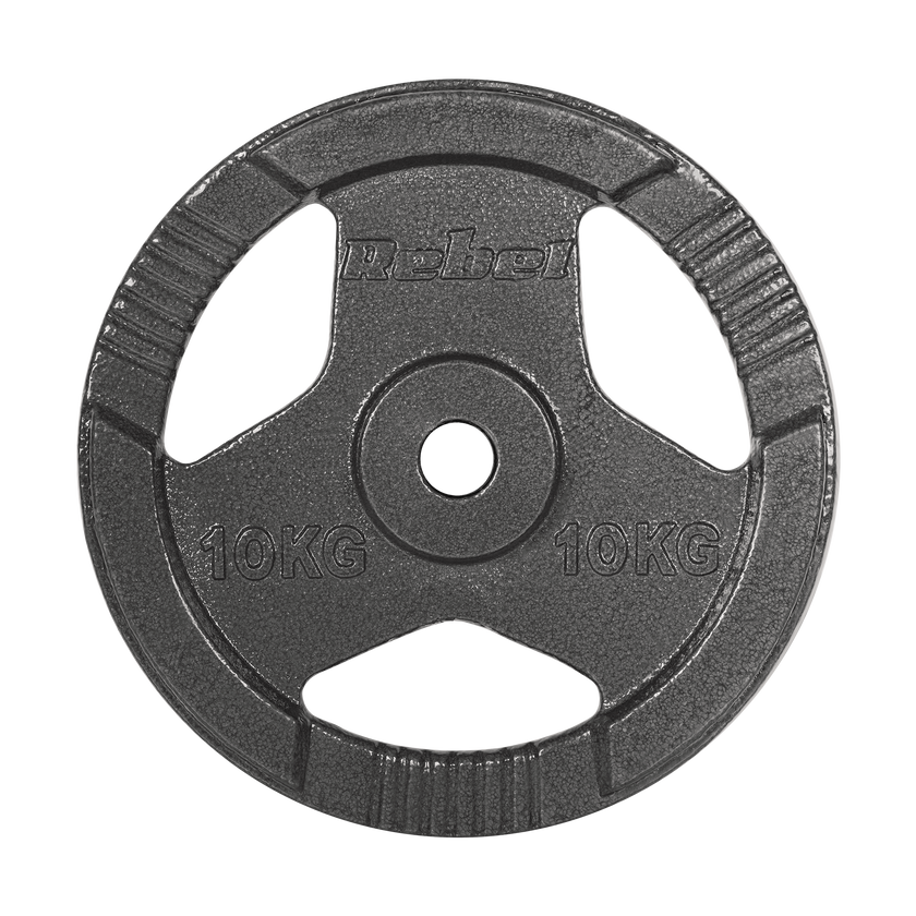 Vægtskiver 2x10kg med Håndtag 31 mm gym4all