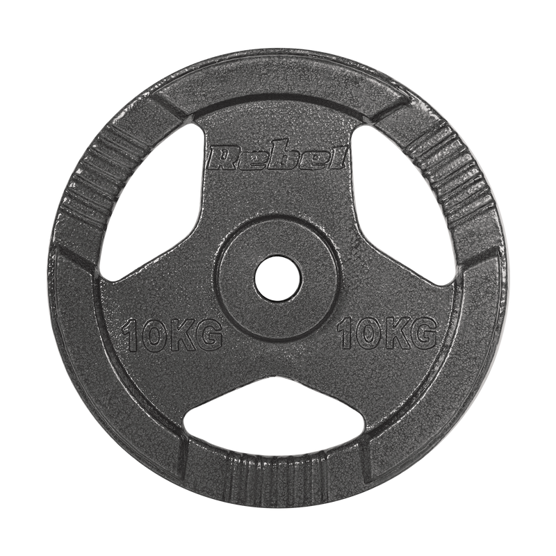Vægtskiver 2x10kg med Håndtag 31 mm gym4all