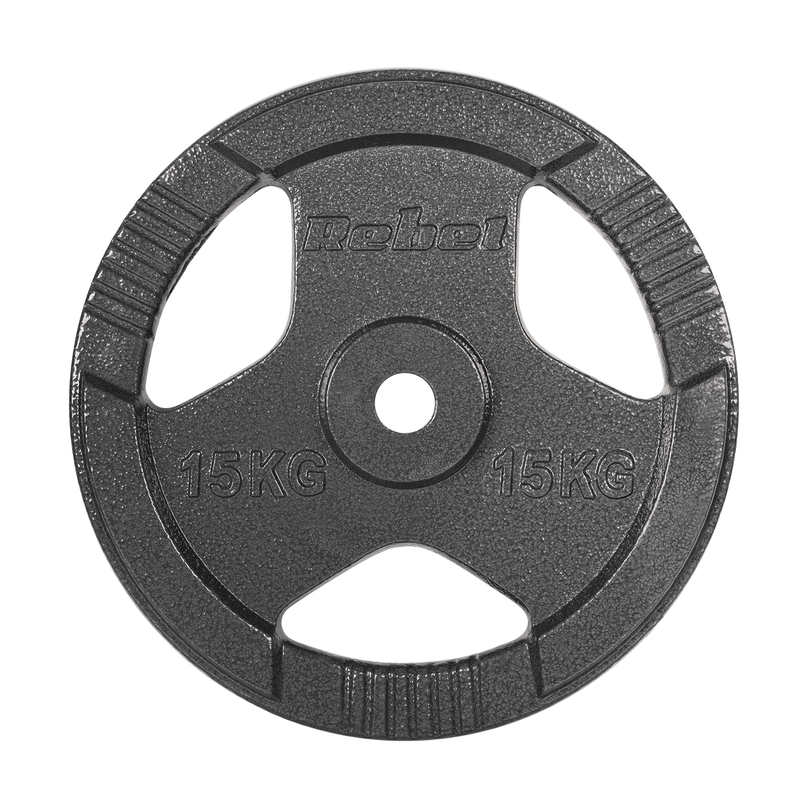 Vægtskiver 2x15kg med Håndtag 31 mm gym4all