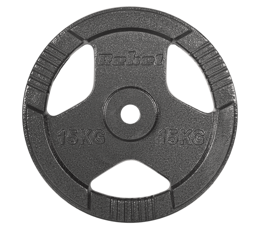 Vægtskiver 2x15kg med Håndtag 31 mm gym4all