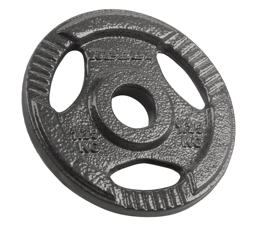 Vægtskiver  4x1,25kg 31mm gym4all