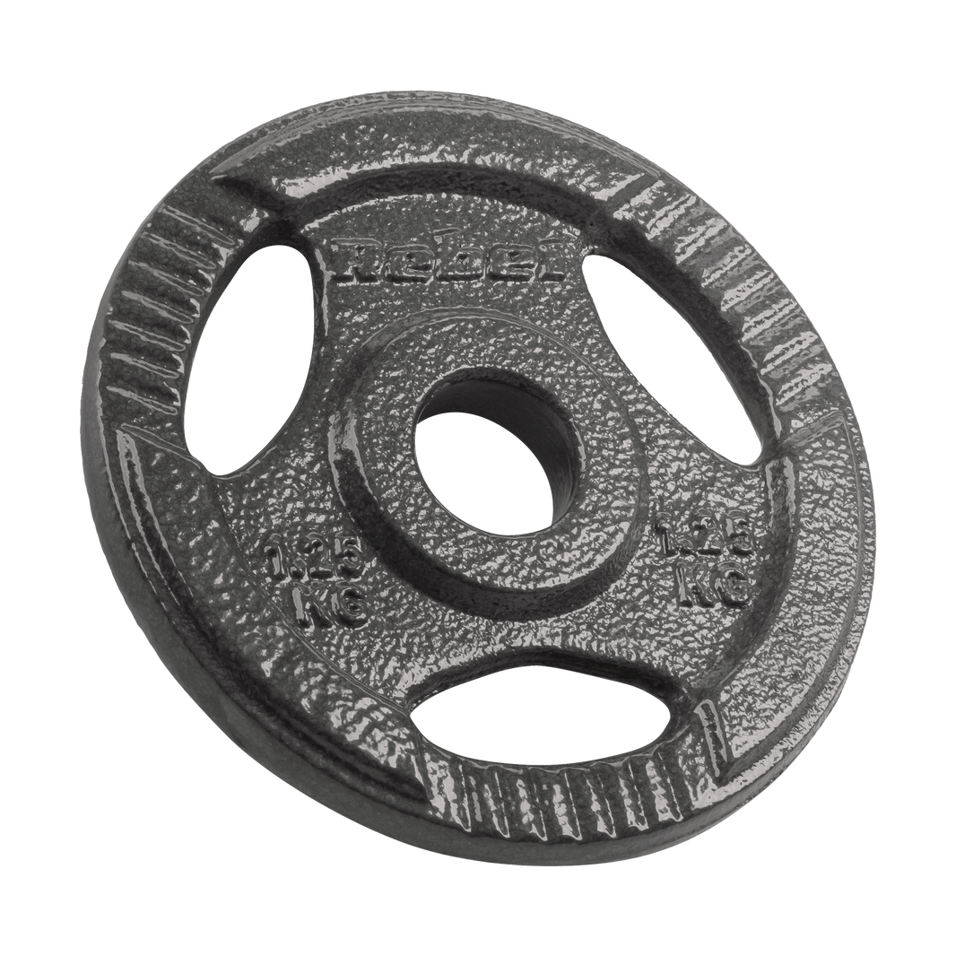 Vægtskiver  4x1,25kg 31mm gym4all