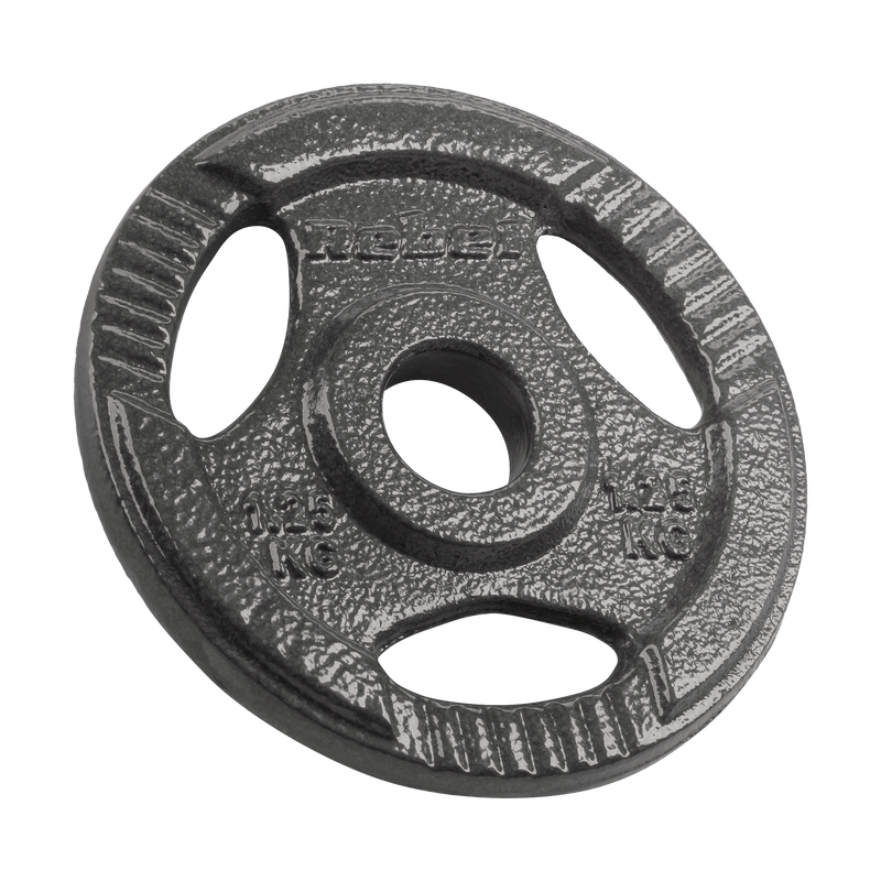 Vægtskiver  4x1,25kg 31mm gym4all