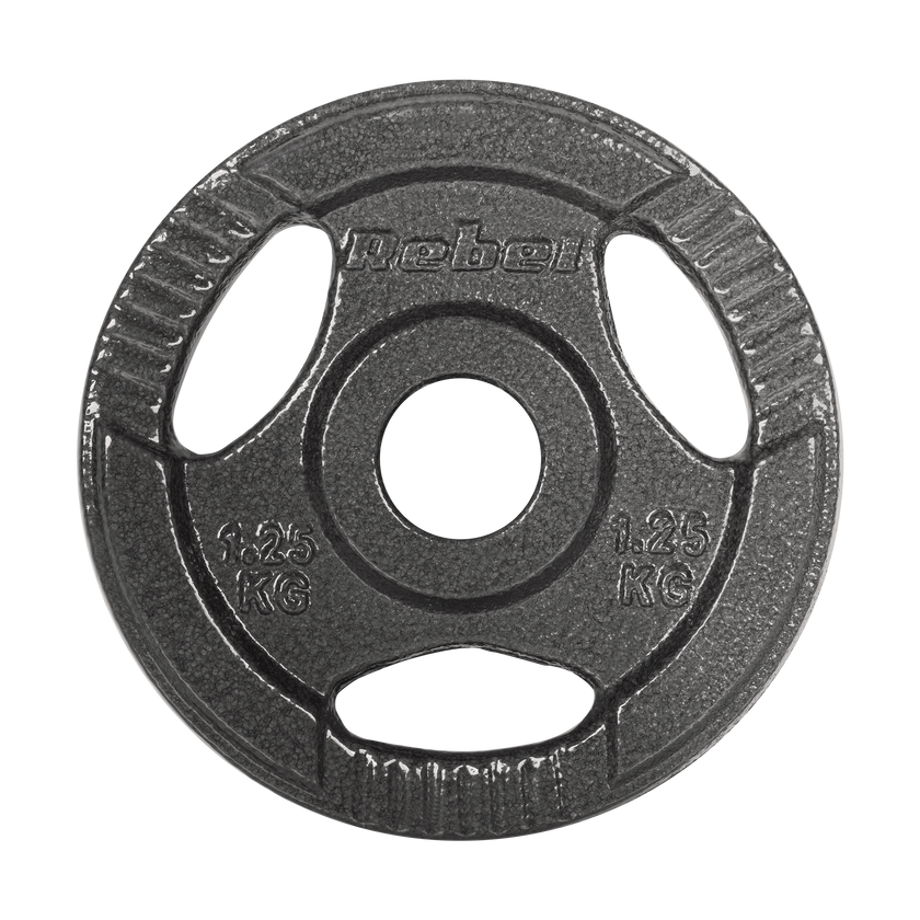 Vægtskiver  4x1,25kg 31mm gym4all
