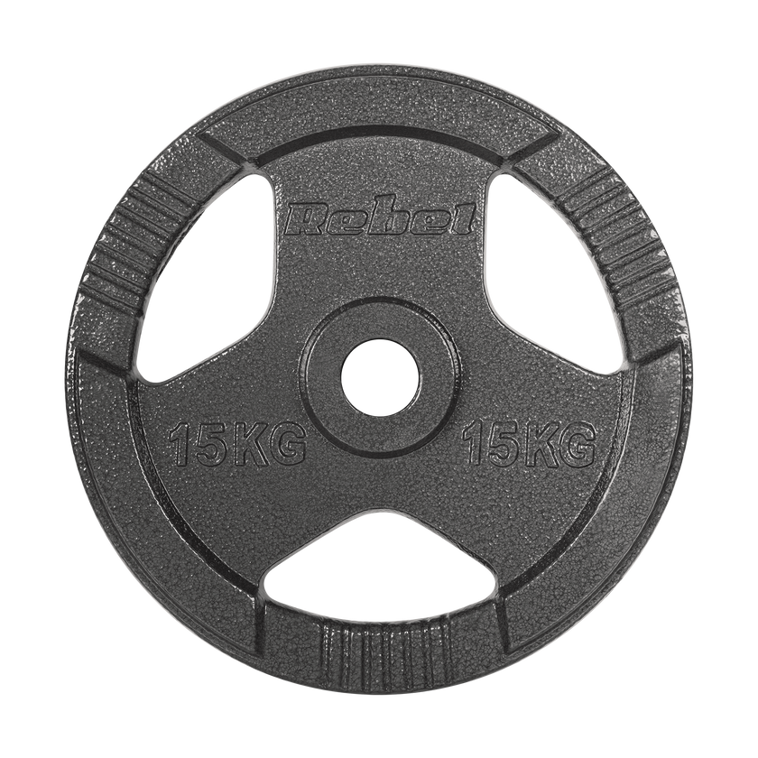 Vægtskiver 2x15kg med Håndtag 51 mm gym4all