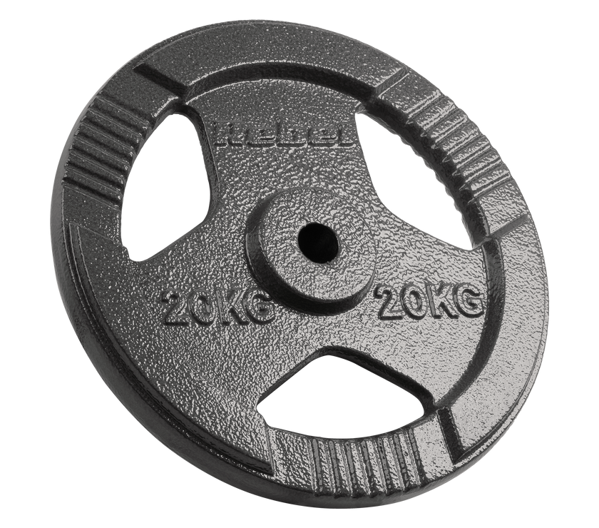 Vægtskiver 20kg med Håndtag 31 mm gym4all