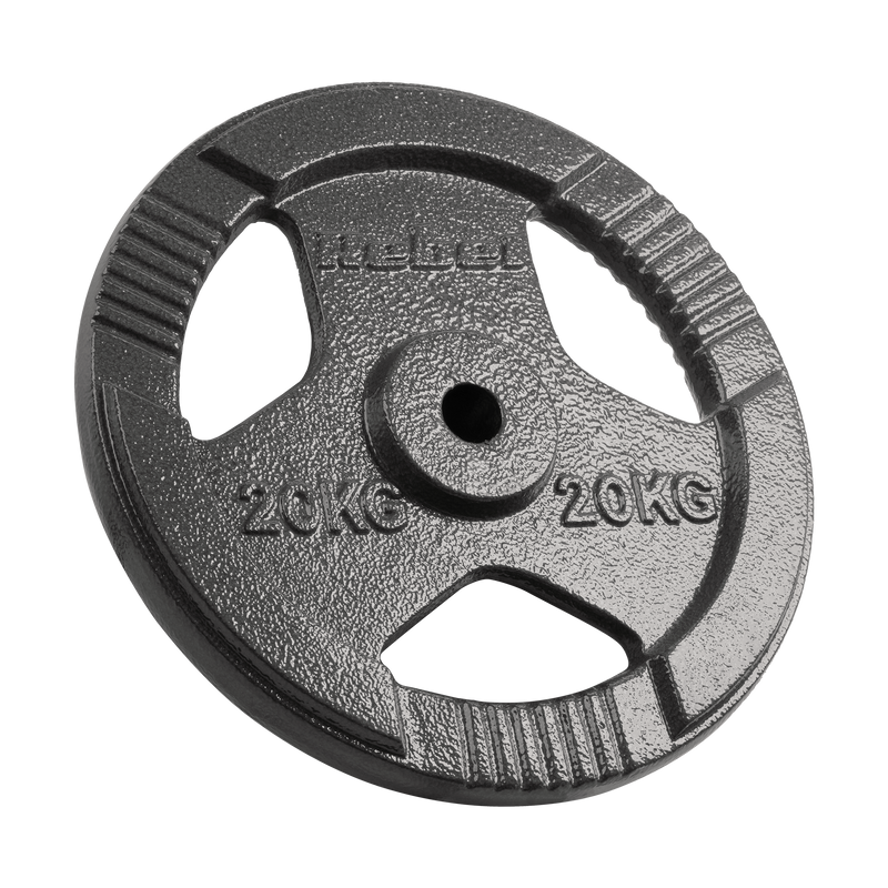 Vægtskiver 20kg med Håndtag 31 mm gym4all