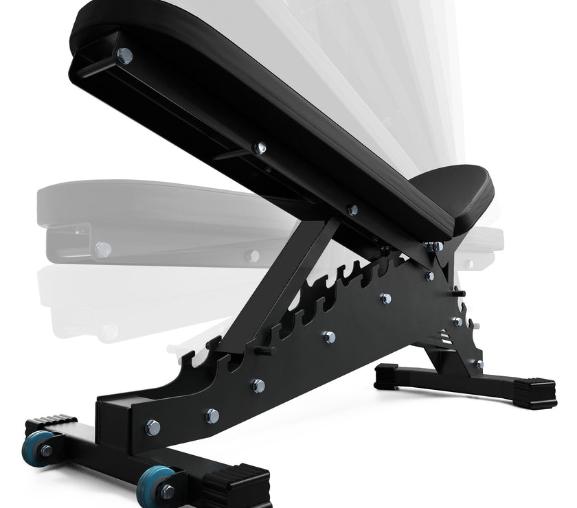 Pro Stativ Plus Bench gym4all